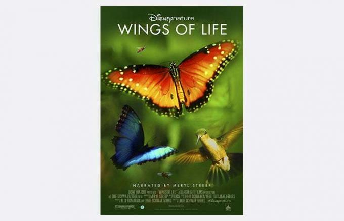 Wings of Life -- ντοκιμαντέρ για παιδιά