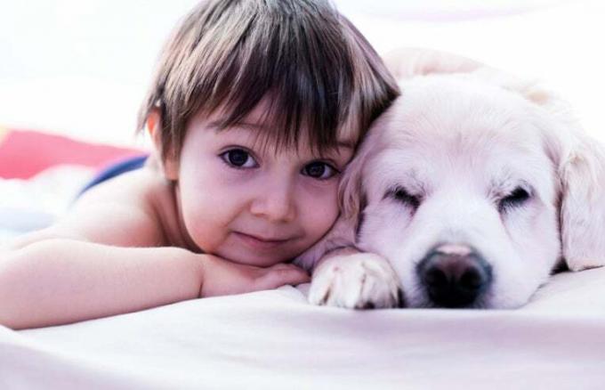 copil și câine