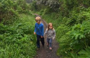 كيف تبدأ المشي مع الأطفال وتحفيز الأطفال على الطبيعة