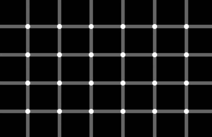 iluzie optică Scintillating Grid Illusion