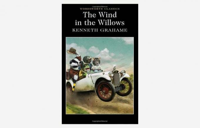 Der Wind in den Weiden – Bücher für Kleinkinder
