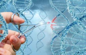 Etika in možnosti urejanja genov človeških zarodkov