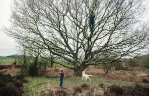 Želite otroka naučiti plezati po drevesih? Pokažite jim, kako to storiti.