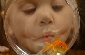 Когда младенцы могут есть рыбу? И какую рыбу им давать
