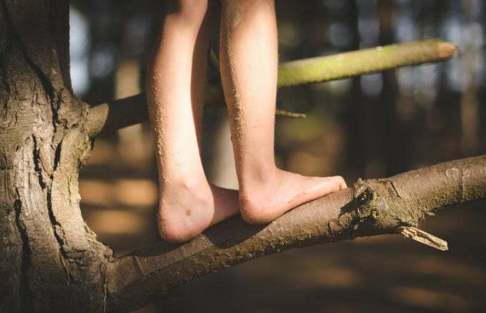 bambino in piedi sul ramo