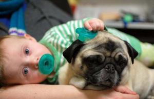 Psy zapobiegają alergiom i otyłości u dzieci z dobrymi bakteriami