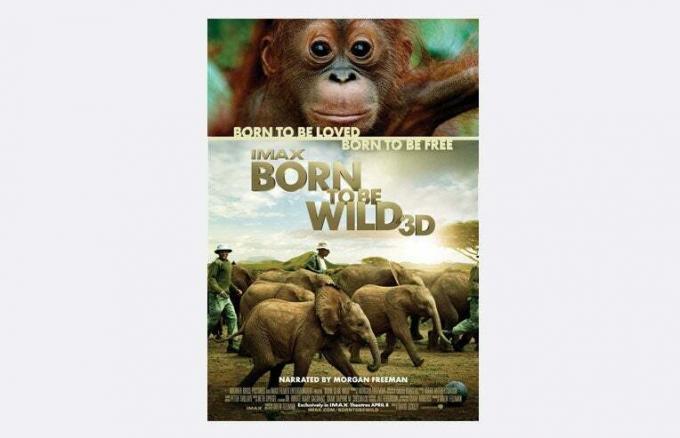 Born to be Wild — dokumentālās filmas bērniem