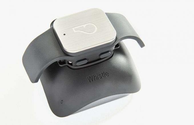Whistle GPS Pet Tracker -- kjæledyrprodukter