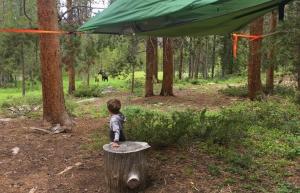 هل التخييم مع طفل صغير في خيمة معلقة فكرة مجنونة؟