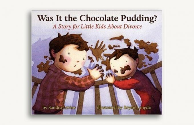 Ar tai buvo šokoladinis pudingas? Sandros Levins ir Bryano Langdo istorija mažiems vaikams apie skyrybas