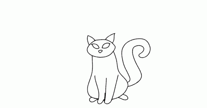 gatto disegno passo 2 orecchie e coda