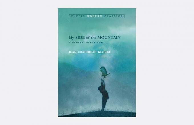 Hvorfor den klassiske barneboken "Min side av fjellet" holder seg 59 år senere