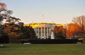 도널드 트럼프가 백악관 잔디를 깎는 11세 소년을 허락하다