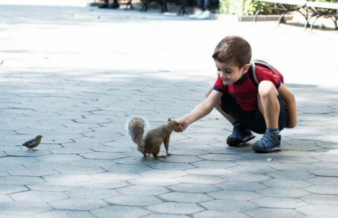 リスに餌をやる少年