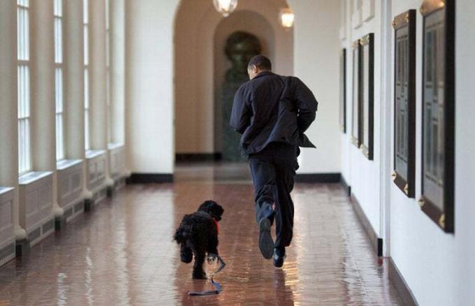 obama-springer-med-hunden-i-vita-huset