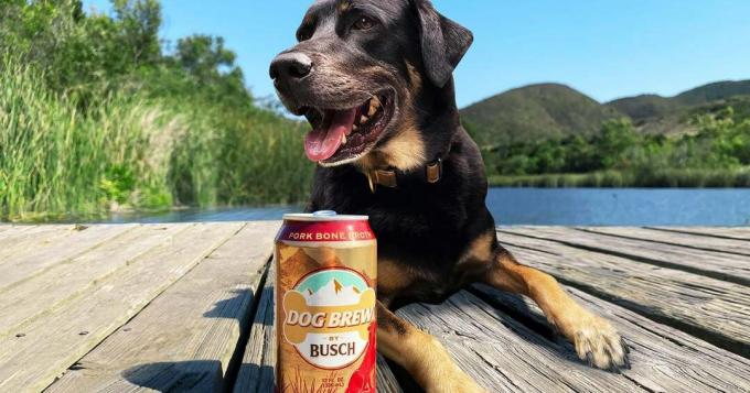 La cerveza para perros significa que su nuevo compañero de bebida es su perro