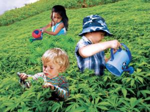 Egy nemrégiben közzétett tanulmány az orvosi marihuána gyerekeknek szóló tanulmányozásának lehetséges előnyeiről
