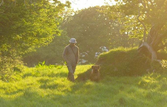 človek in pes na polju