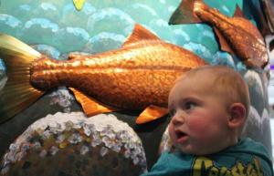 Πότε μπορούν τα μωρά να τρώνε ψάρι; Και ποια ψάρια να τους δώσουν