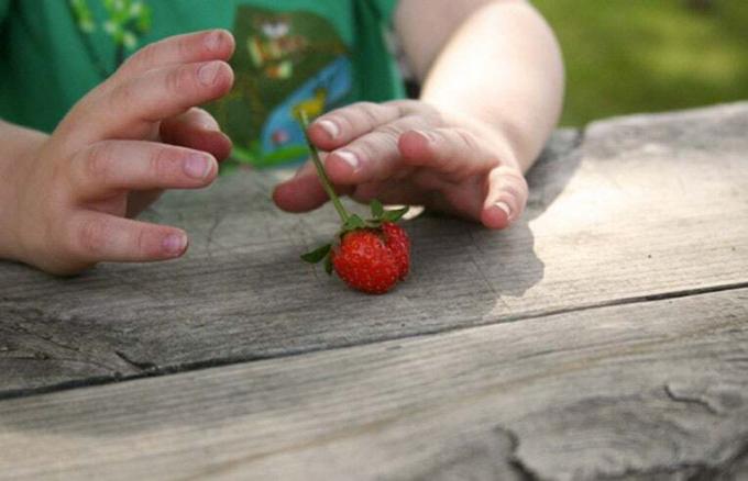 baby die aardbei eet