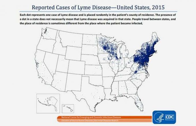 lyme hastalığı vakaları