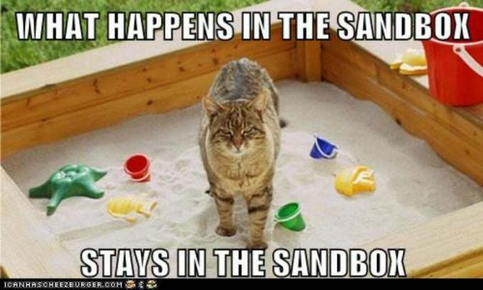 Sandbox-Full-Of-Animal-Poop