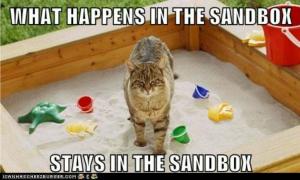 Αυτό το Sandbox είναι γεμάτο βακτήρια και παράσιτα από κακά ζώα