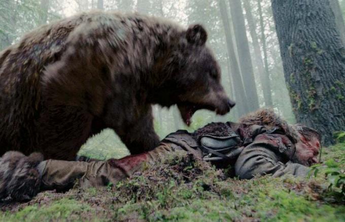 วิธีเอาตัวรอดจากการโจมตีของหมี