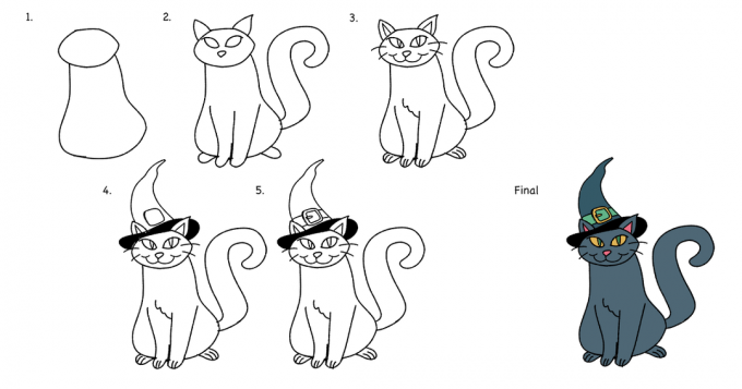 kassi joonistamine - 5 lihtsat sammu