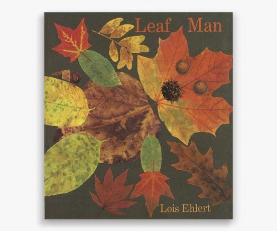 Fatherly_childrens_book_leaf_man