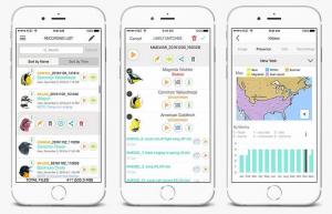 SongSleuth je aplikácia, ktorá identifikuje vtáky podľa ich cvrlikania