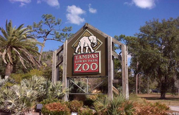 Зоопарк Лоури Парк