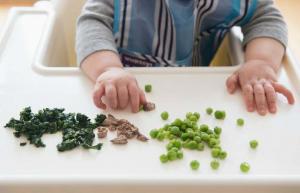 Ar kūdikiai, maitinami šaukštu, yra labiau linkę į nesveikos mitybos įpročius?