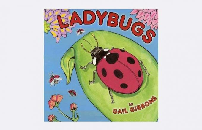 Uğur Böceği - küçük çocuklar için kitaplar
