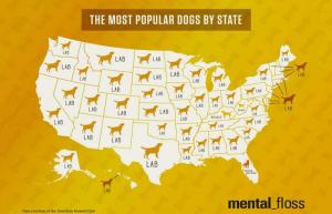 Osavaltiokohtainen kartta suosituimmista koiraroduista