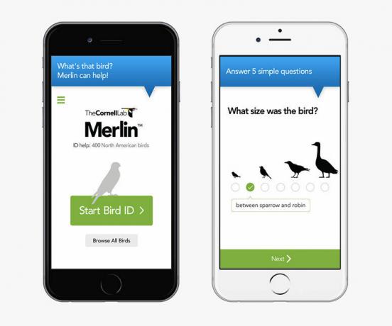 Merlin Bird ID - ბუნების აპლიკაციები
