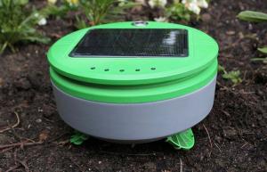 Tertill is een op zonne-energie werkende onkruidrobot voor huistuinen
