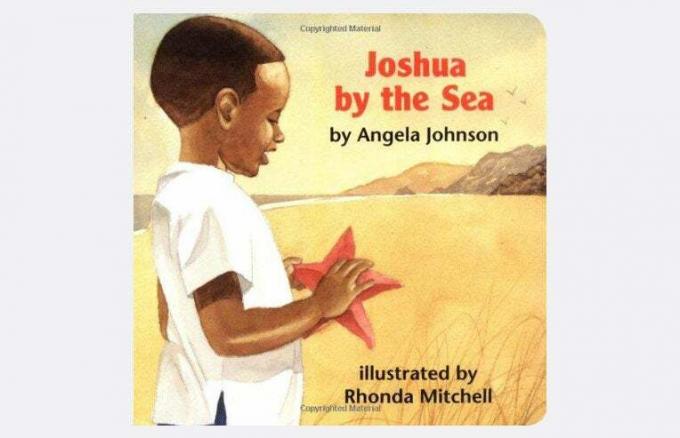 Joshua by theSea-子供向けの謎の本
