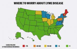 Mapa Lymeské nemoci: Státy a města s nejvyššími sazbami