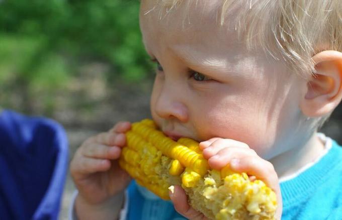 väikelaps sööb maisitõlvikut