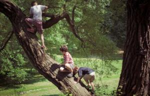 Ny forskning viser, at 'Risky Play' gør børn sikrere