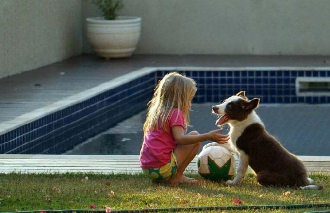 κορίτσι και σκύλος κάθεται δίπλα στην πισίνα